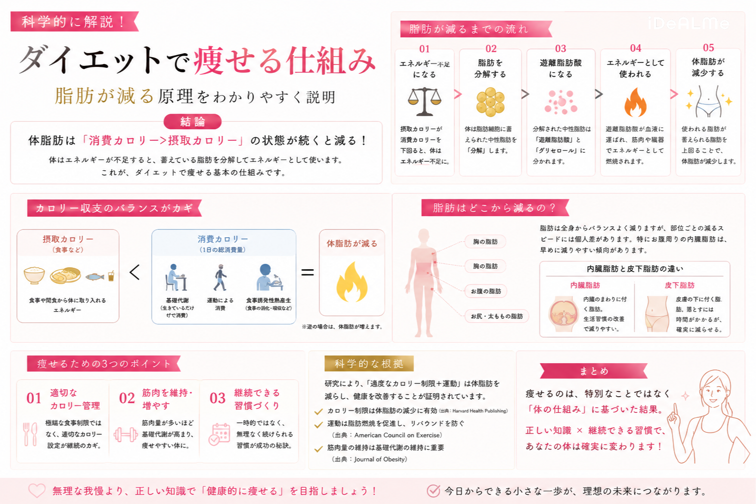 ダイエットの仕組み
