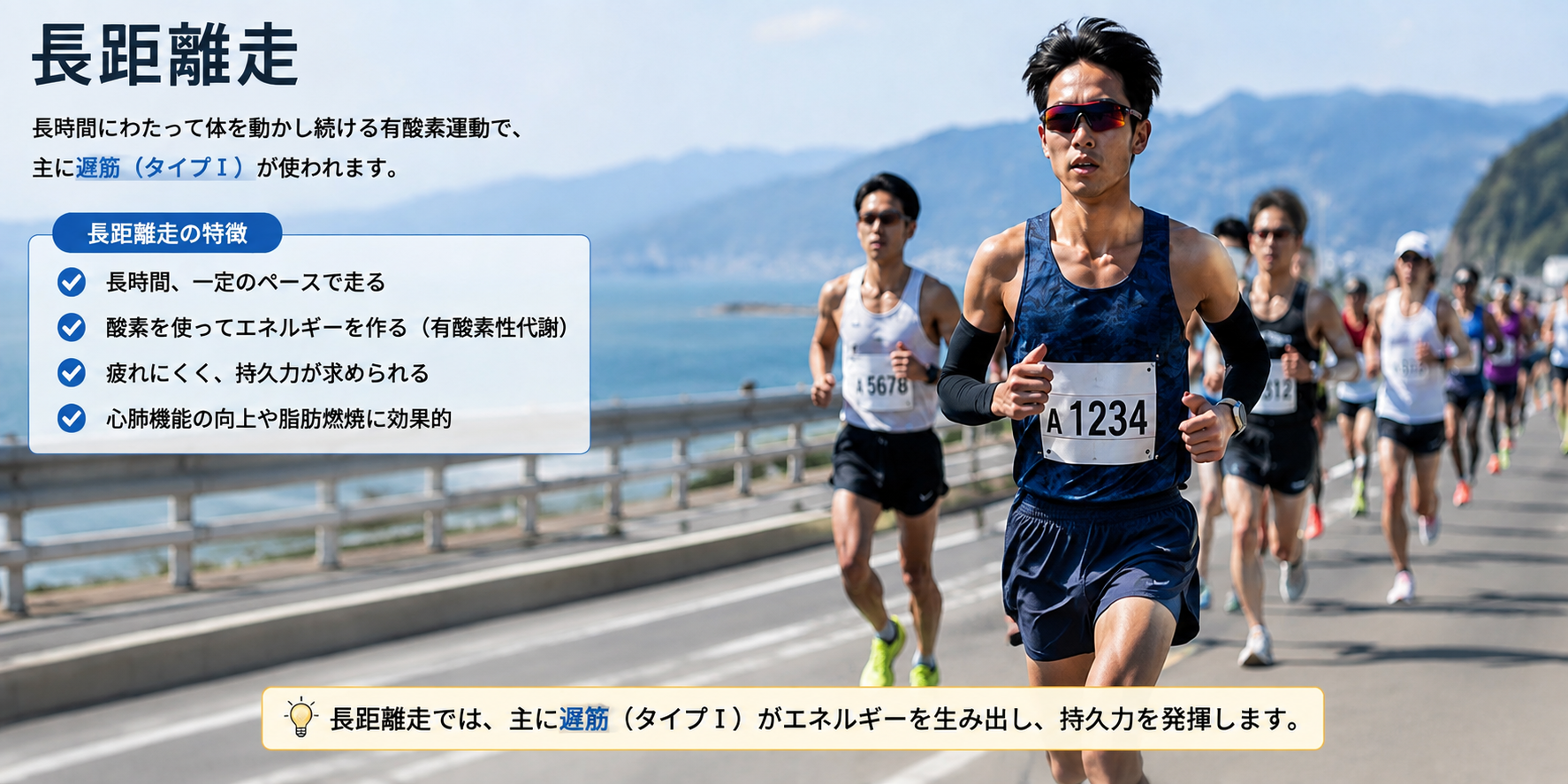長距離　マラソン