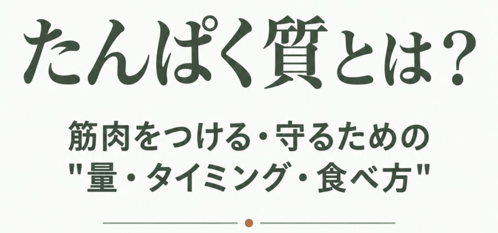 タンパク質とは？筋肉をつける・守るための量やタイミング、食べ方